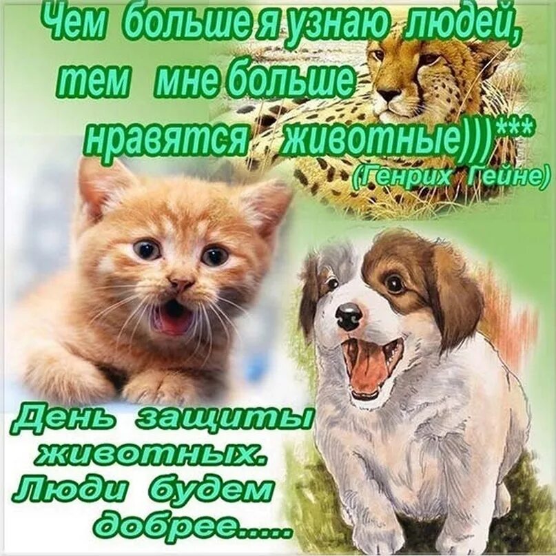 Картинки ко дню защиты животных 4 4 октября - Международный День защиты животных! 2023 "ВЕРНЫЕ ДРУЗЬЯ" передержка 