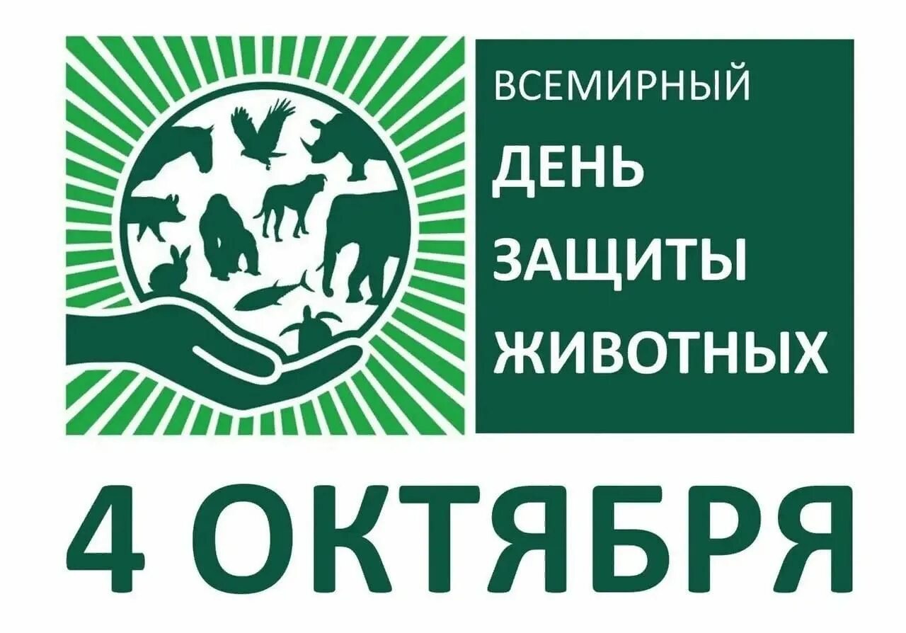 Картинки ко дню защиты животных 4 Познавательная игра "О братьях наших меньших", посвященная Международному Дню за