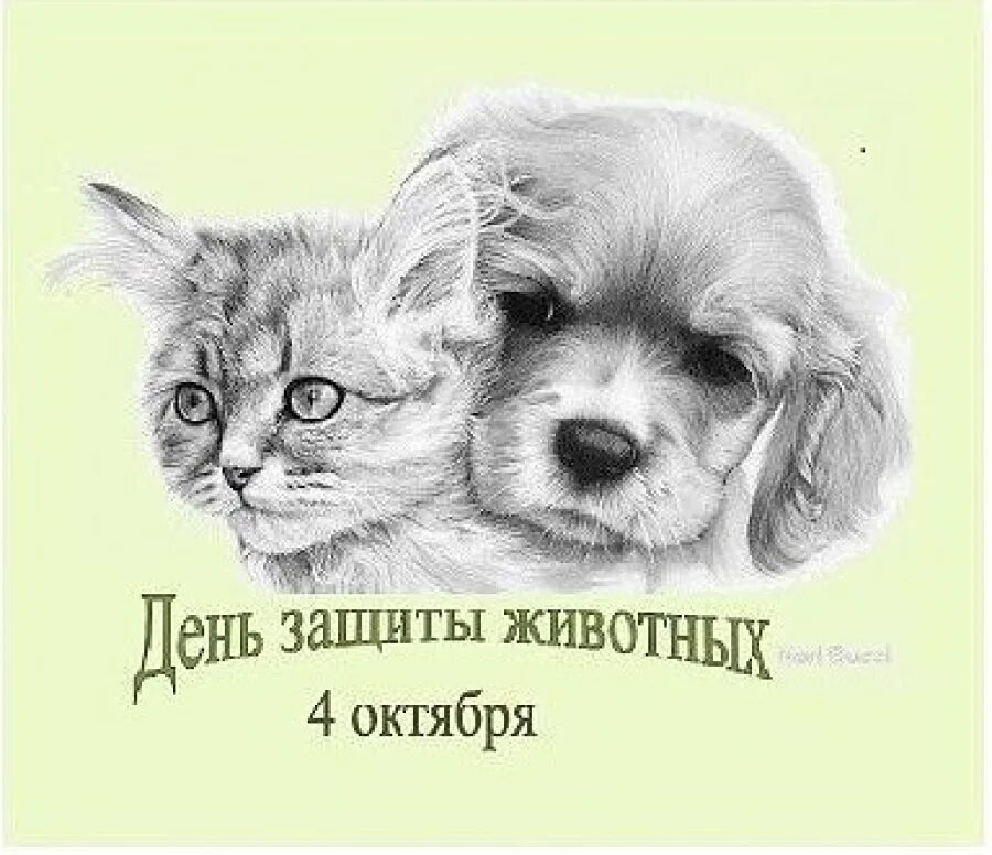 Картинки ко дню защиты животных 4 ДЕНЬ ЗАЩИТЫ ЖИВОТНЫХ. В России праздник, призванный привлечь внимание общественн