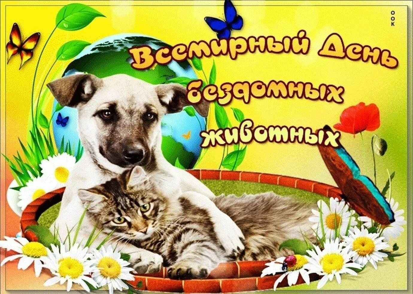Картинки ко дню защиты животных 4 Урок доброты "И с животными будь человеком!" 2023, Новосибирск - дата и место пр