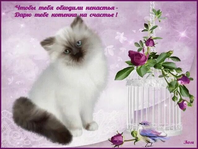 Картинки кошки с добрыми пожеланиями Pin tillagd av Драгун Ирина på Поздравления