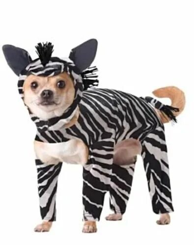 Картинки костюмов животных Pet Dog Cat Funny ANIMAL PLANET Zebra Dog Costume eBay
