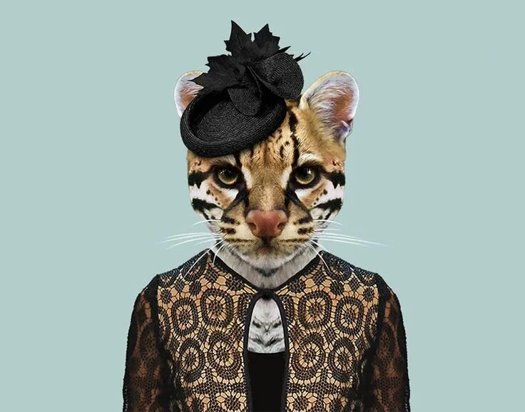 Картинки костюмов животных Ocelot Animals, Animals wild, Pet portraits