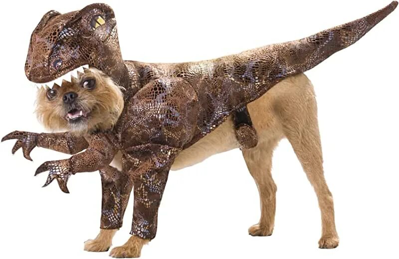 Картинки костюмов животных Amazon.com: Dog Costumes - $50 To $100: Pet Supplies
