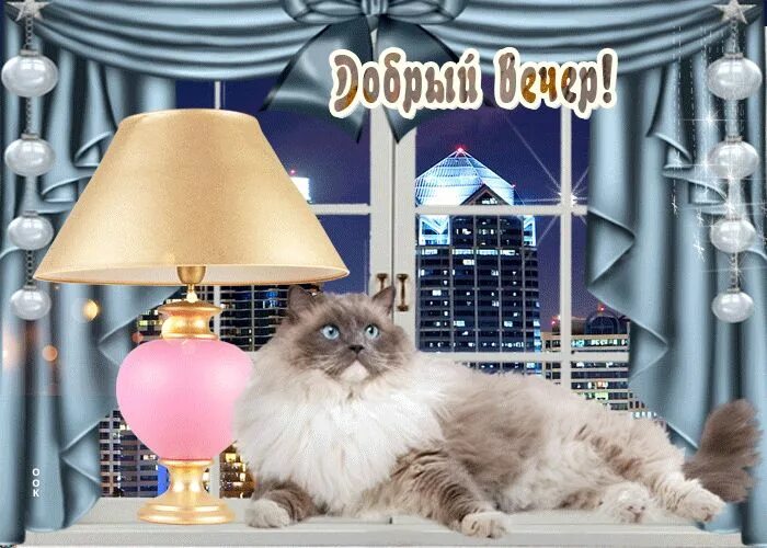 Картинки котиков добрый вечер Добрый вечер люди добрые- Скачать бесплатно на otkritkiok.ru