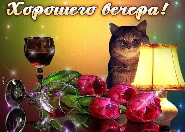 Картинки котиков добрый вечер Поздравь Друзей ➡ https://vk.cc/cdLJeD Доброе утро) Добрый вечер) Пожелания ВКон