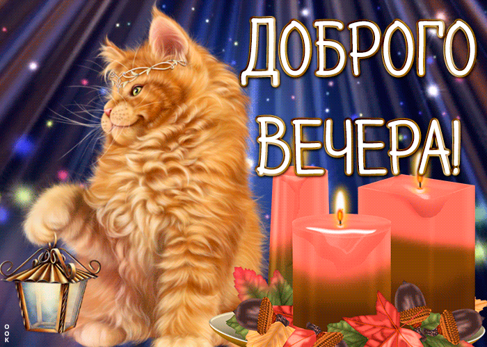 Картинки котиков добрый вечер Картинка добрый вечер с котом Открытки Онлайн