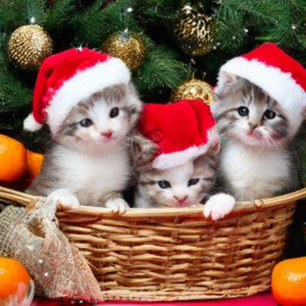Картинки котиков новый год "Little New Year kittens in New Year ." - image created in Shedevrum