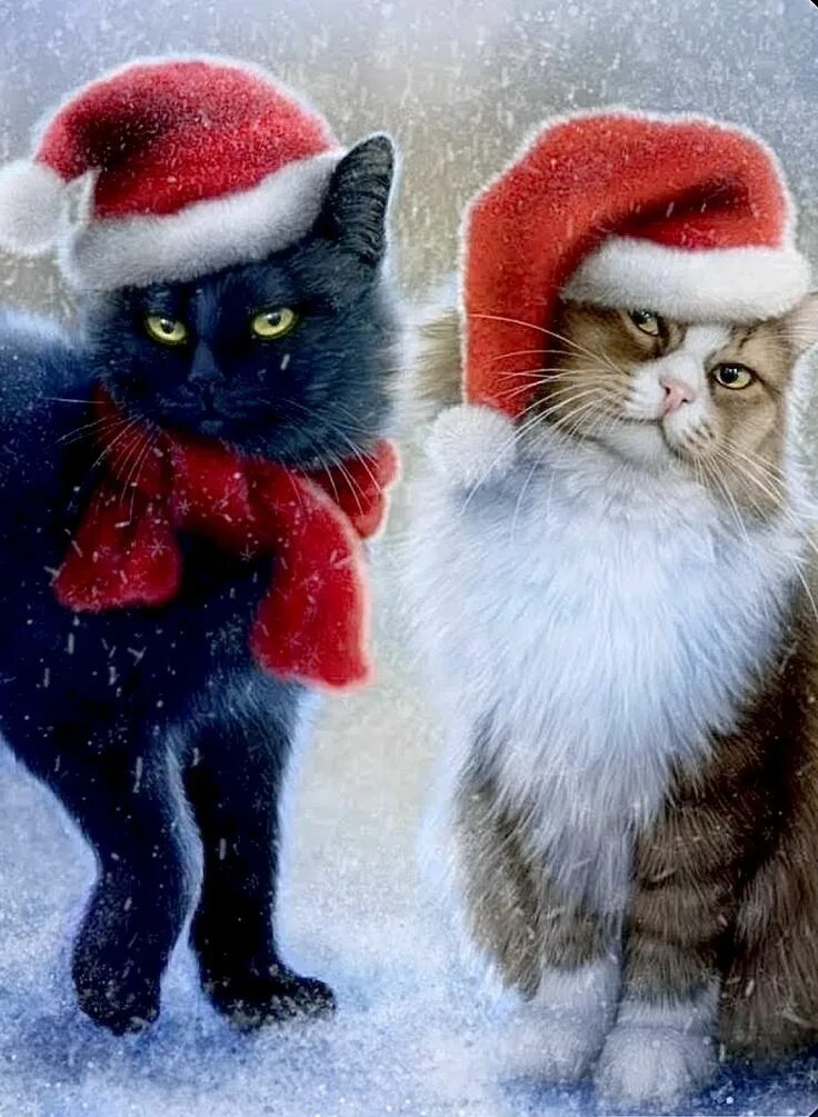 Картинки котиков новый год Pin by Dana Doran on DIY and crafts Christmas cats, Animated christmas, Christma