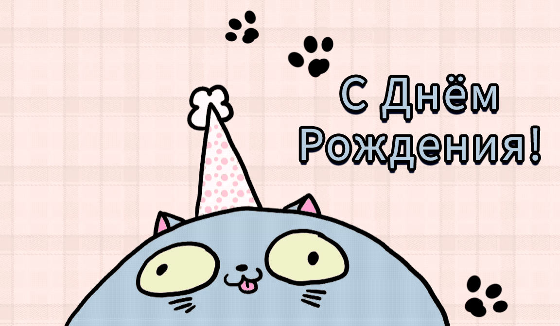 Картинки котиков с днем рождения Котик день рождения мем
