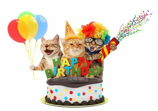 Картинки котиков с днем рождения Carnival Happy Birthday Изображения: просматривайте стоковые фотографии, векторн