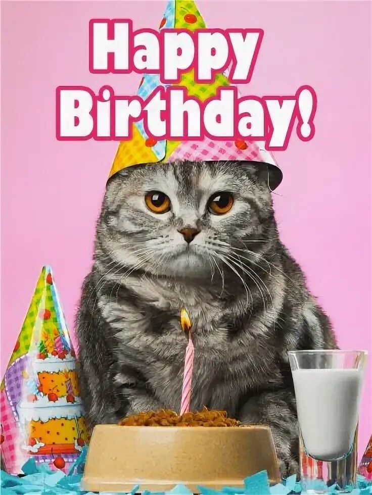 Картинки котиков с днем рождения Happy Birthday Cards Birthday & Greeting Cards by Davia - Free eCards Happy birt