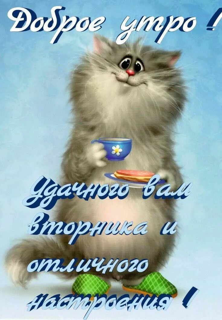 Картинки котиков с добрым утром прикольные Pin auf Доброе утро