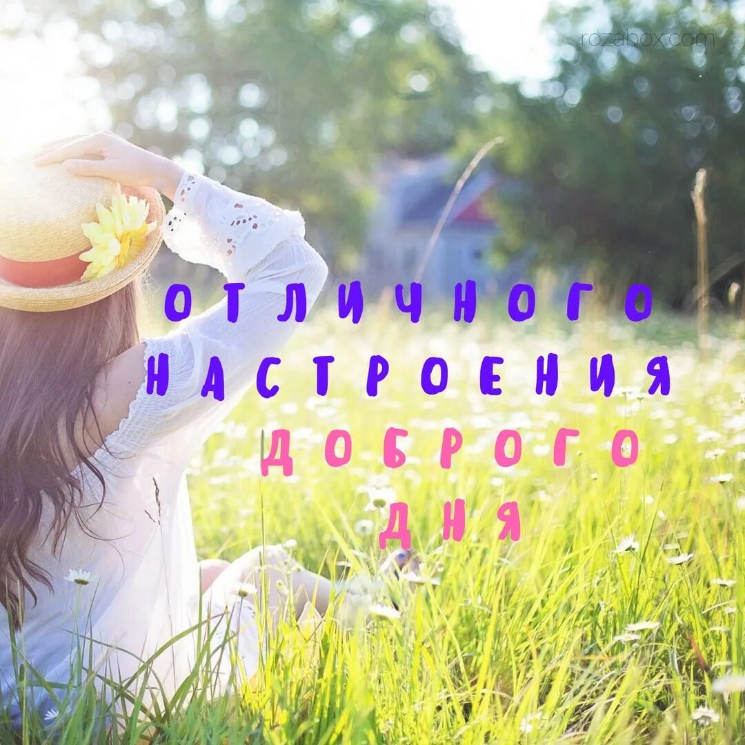 Картинки красивого дня и позитивного настроения открытка с пожеланием доброго дня Доброе утро, Картинки, Открытки