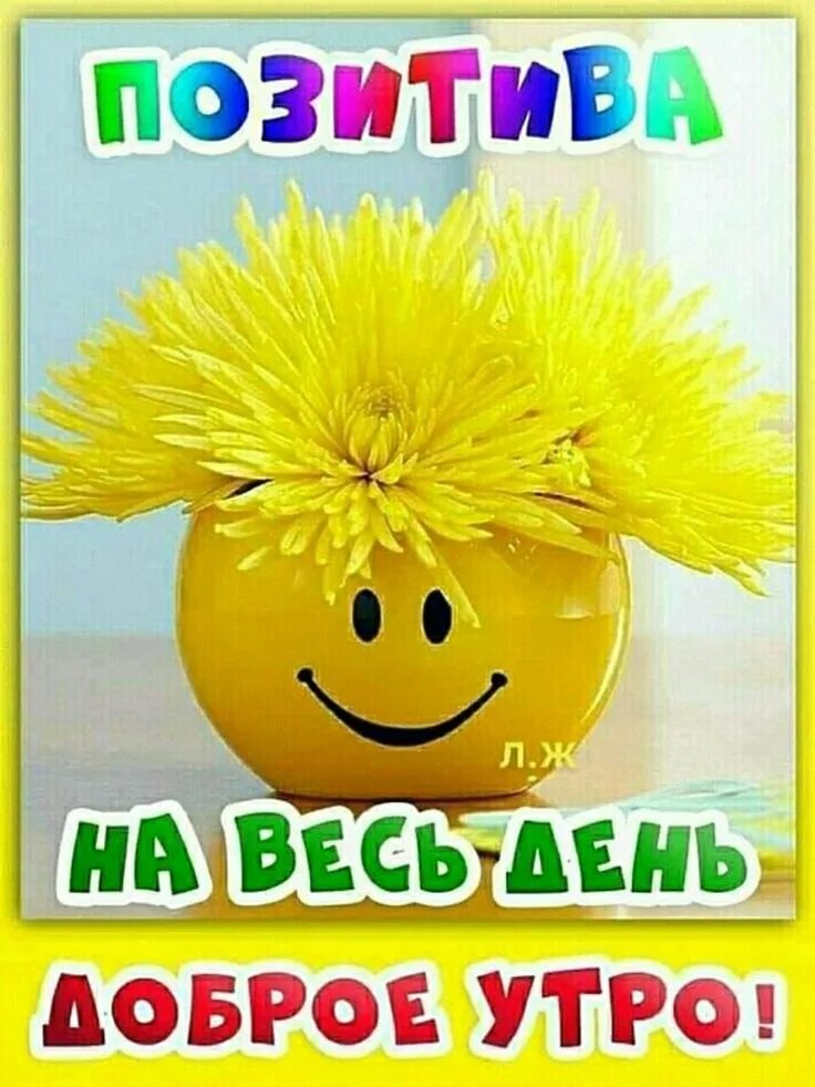 Картинки красивого дня и позитивного настроения Pin auf Доброе утро и день
