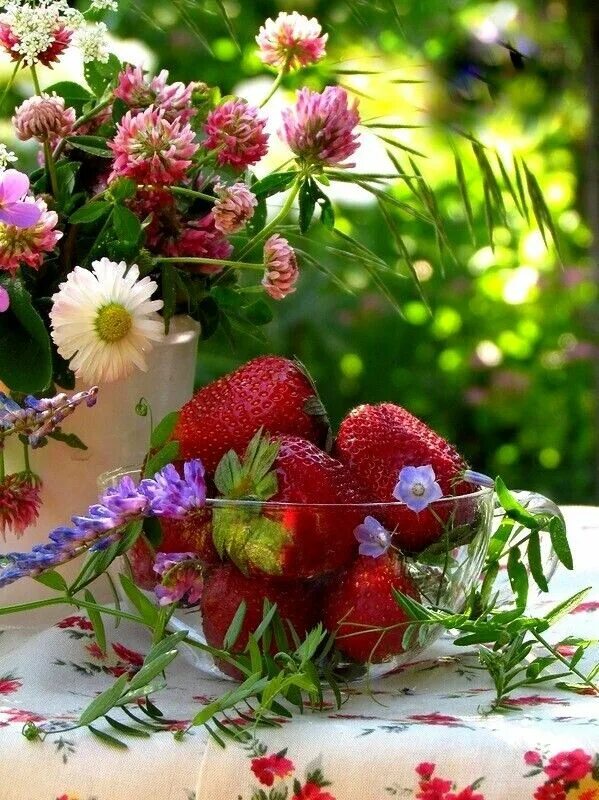 Картинки красивого лета с пожеланиями Pin by Маргарита Решта on Лето Beautiful flower arrangements, Beautiful bouquet 