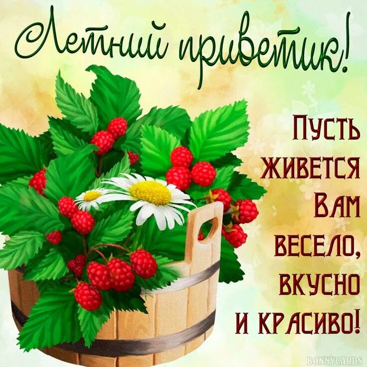 Картинки красивого лета с пожеланиями Alex Frend ВКонтакте в 2020 г Милые открытки, Утренние цитаты, Поздравительные о