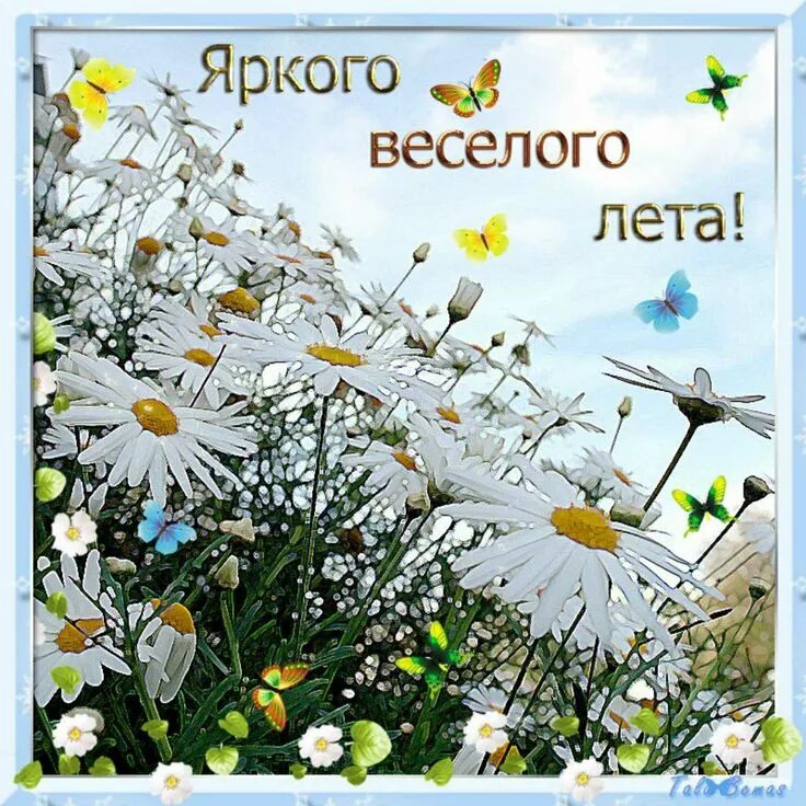 Картинки красивого лета с пожеланиями Пин на доске Лето Лето, Веселое лето, Доброе утро