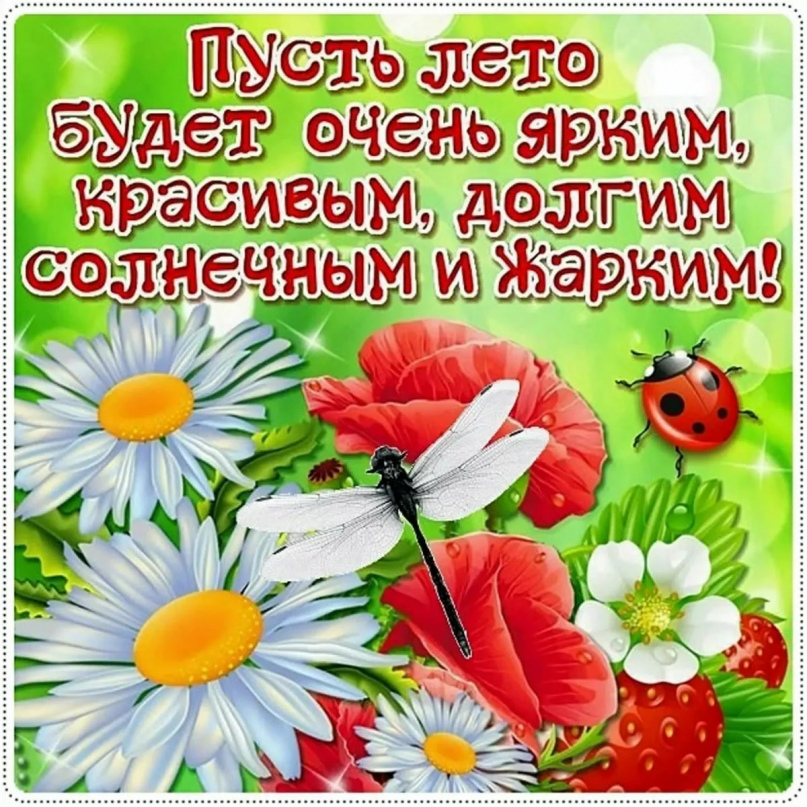 Картинки красивого лета с пожеланиями Желаю ребятам хороших каникул и ярких впечатлений 2024 8-Н МБОУ,,Гвардейская шко