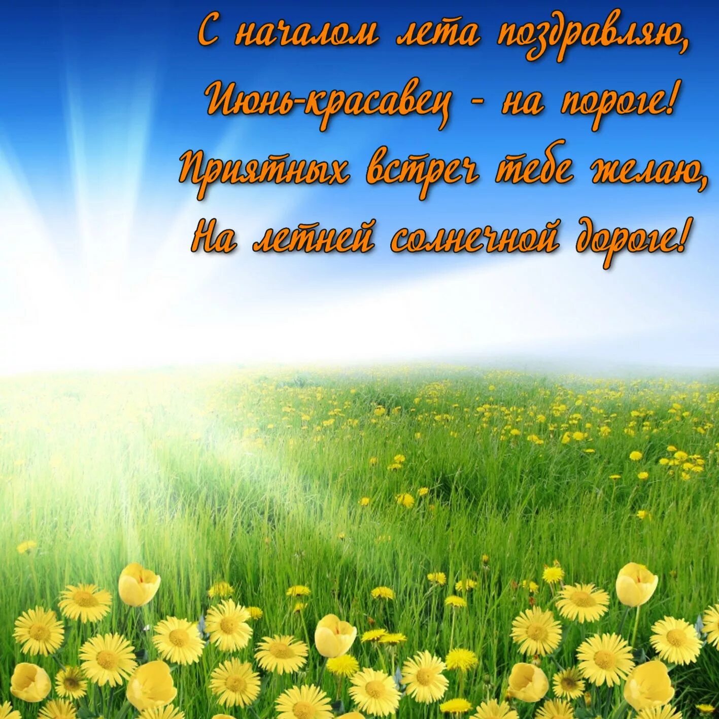 Картинки красивого лета с пожеланиями Картинка с зеленым полем в ярких лучах солнца с первым днём лета