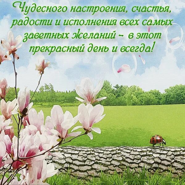 Картинки красивой природы с добрыми пожеланиями ПРИВЕТСТВИЯ и ПОЖЕЛАНИЯ, открытки на каждый день. - 19 апреля 2020 в 15:56