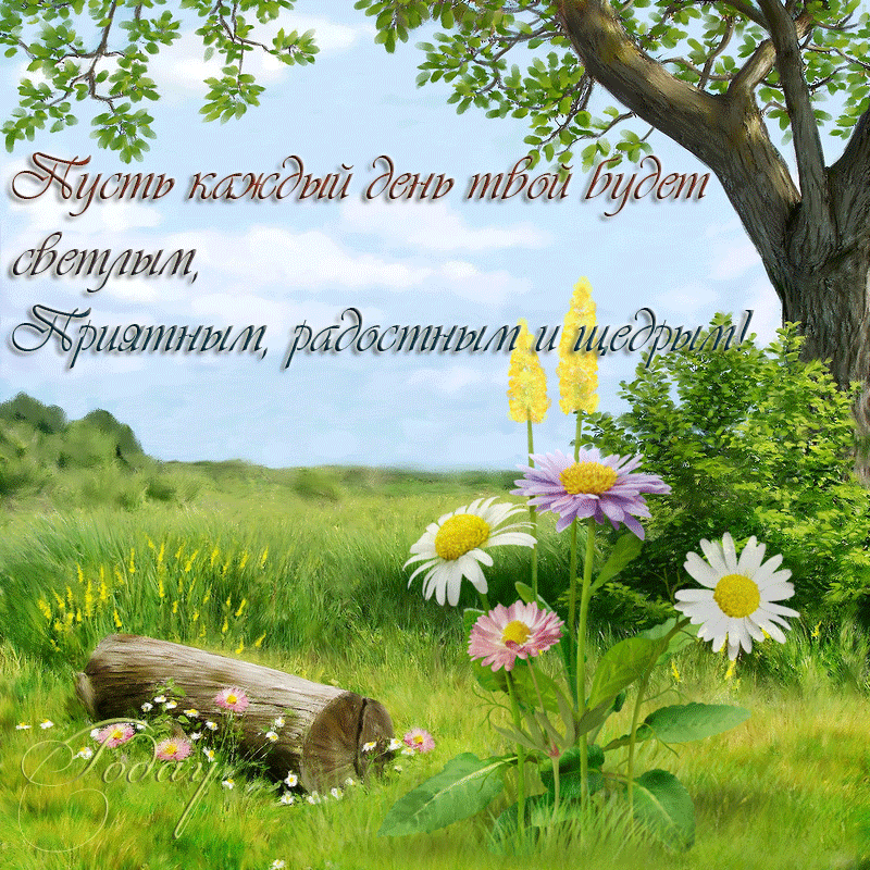Картинки красивой природы с добрыми пожеланиями Летняя картинка с днем рождения