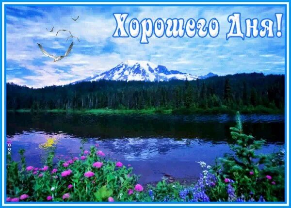 Картинки красивой природы с добрыми пожеланиями Злобина Ольга Викторовна Стихи РАЗМЕРОМ СЕРДЦА... "Кто лучше?... Интересный конт
