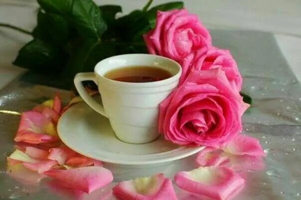Картинки красивые доброе утро большие бесплатно ♥ ♥ ♡ ♡ Chocolate tea, Good morning coffee, Cake decorating techniques