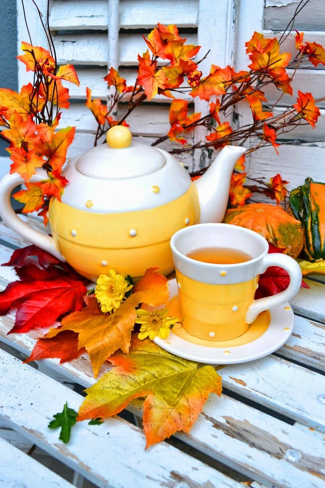 Картинки красивые доброе утро хорошего осень Join Me for My Fall Garden Tour Autumn tea, Autumn tea party, Tea