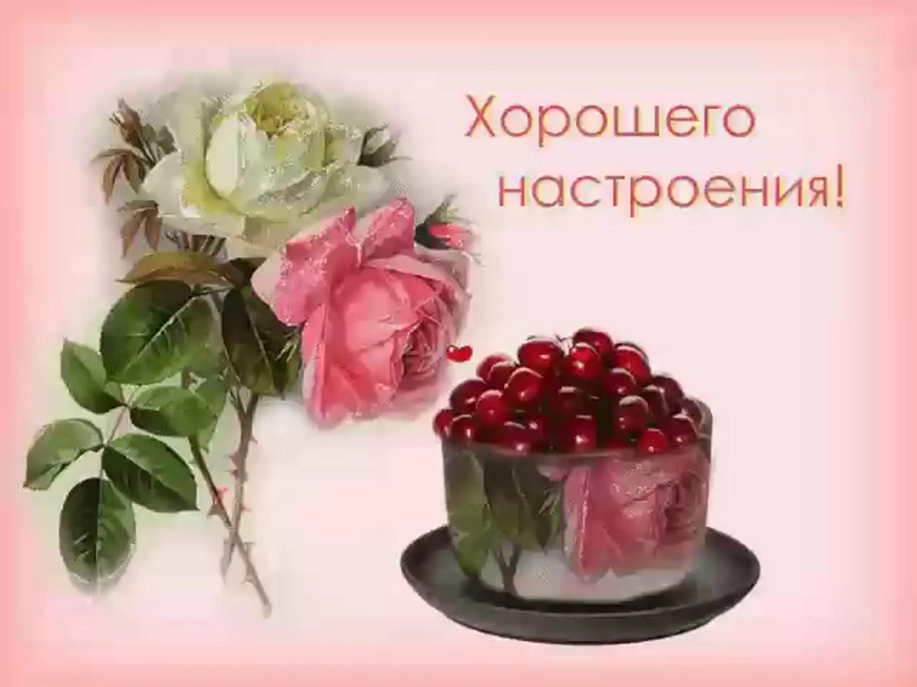 Картинки красивые хорошего дня и отличного настроения Прекрасного сегодня и крепкого здоровья: найдено 88 изображений