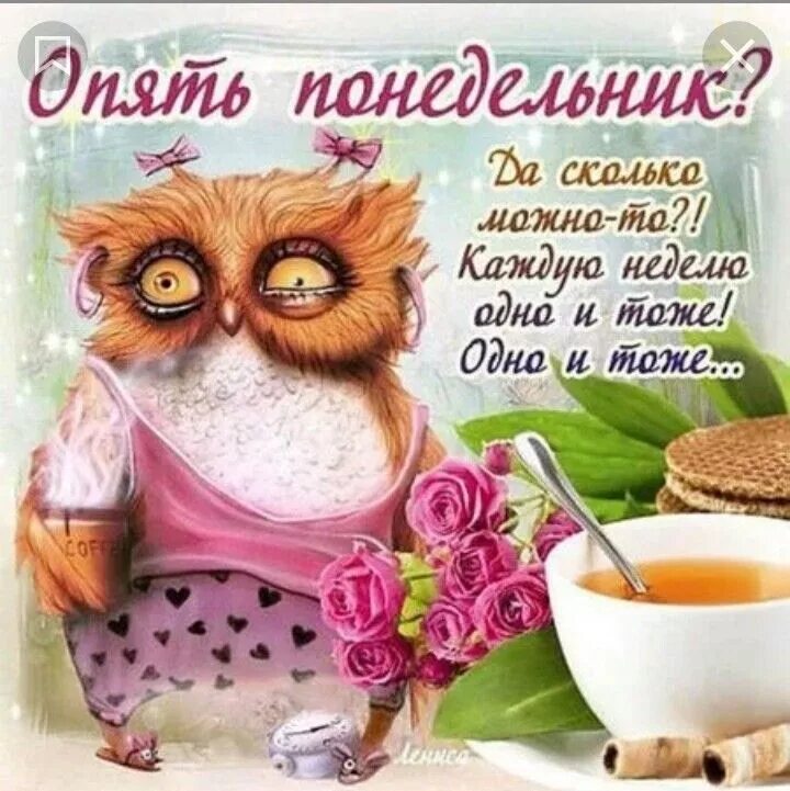 Картинки красивые интересные с пожеланиями смешные новинки Пин от пользователя Lina на доске Дни недели -новое. Открытки, Доброе утро, Смеш