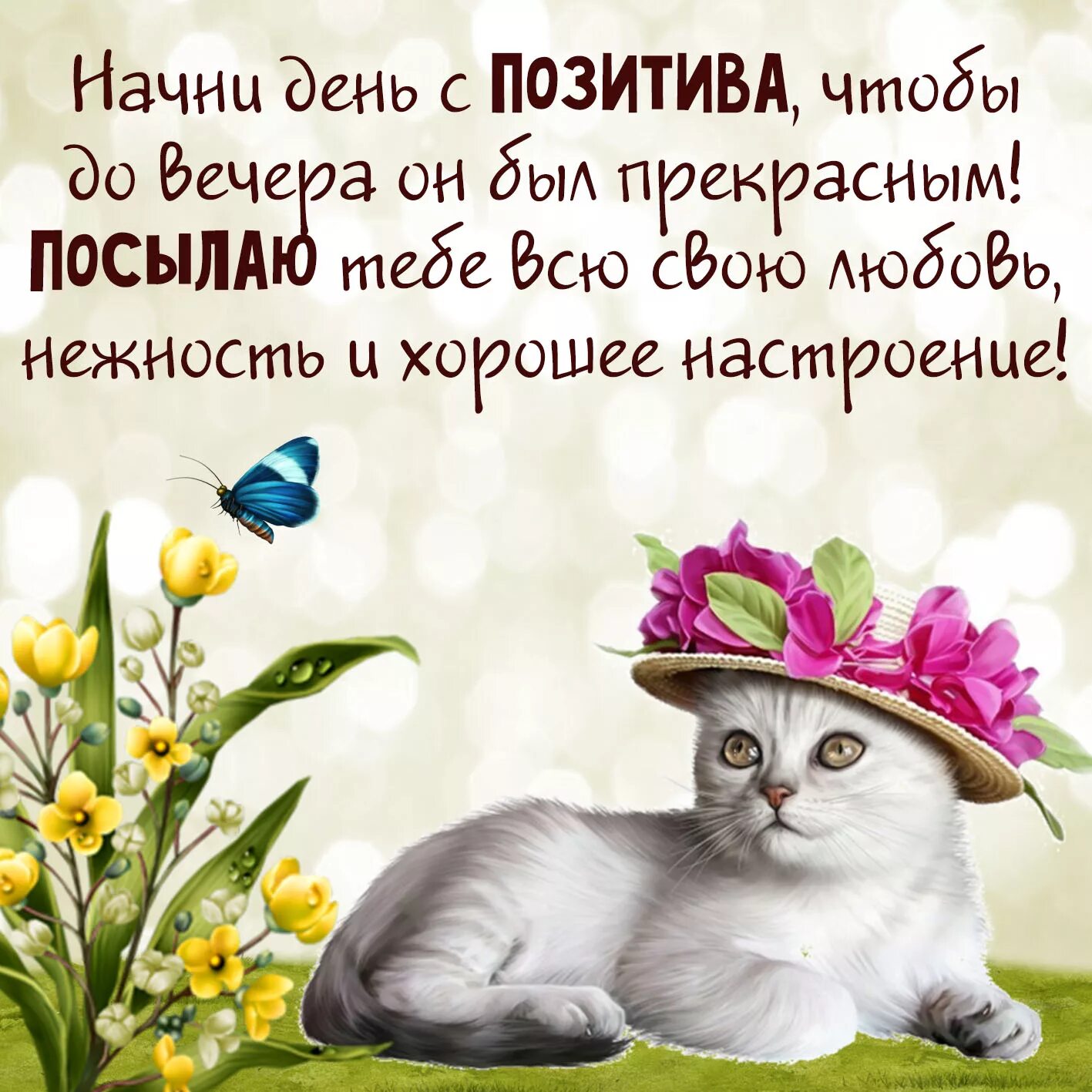 Картинки красивые интересные с пожеланиями смешные новинки Доброе утро мудрые пожелания прикольные: найдено 71 изображений