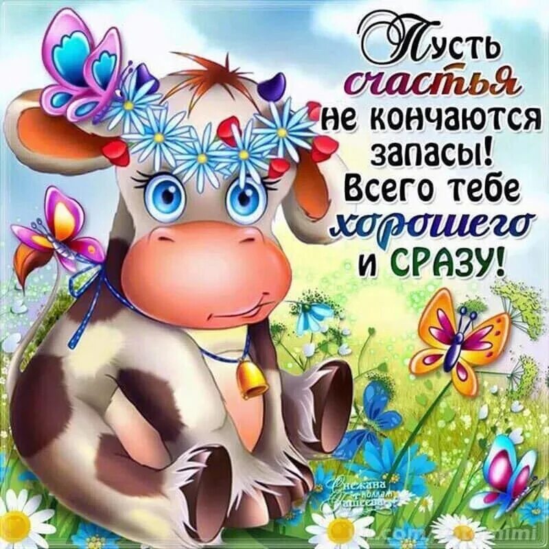 Картинки красивые интересные с пожеланиями смешные новинки лучшее для вас! 2024 Открытки и Поздравления ВКонтакте