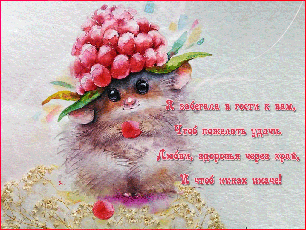 Картинки красивые интересные с пожеланиями смешные новинки Пин на доске Best sayings,Gif