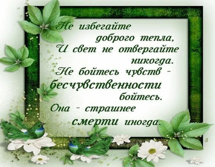 Картинки красивые летние с мудрыми пожеланиями ❀ ♔ Самая Обаятельная и Привлекательная ♔ ❀ - Фото OK.RU в 2020 г Христианские ц