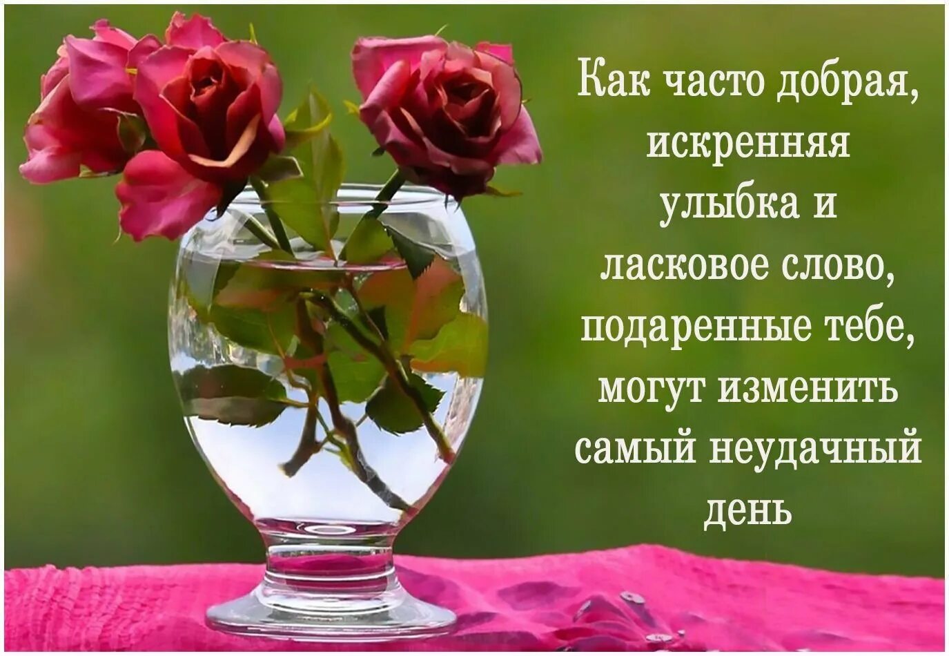 Картинки красивые летние с мудрыми пожеланиями Мудрые пожелания хорошего дня - 84 фото