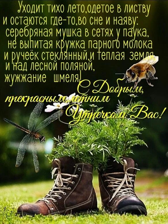 Картинки красивые летние с мудрыми пожеланиями Pin on Утро Clever quotes, Good morning photos, Hiking boots