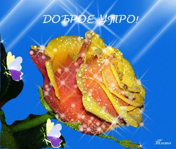 Картинки красивые мерцающие движущиеся доброго утра Доброе утро картинки красивые анимированные. ⋆ Картинки Открытки Праздники Добро