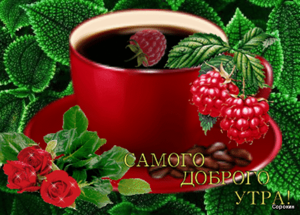 Картинки красивые мигающие добрым утром Группа помощи им. А.Кульш on Viber