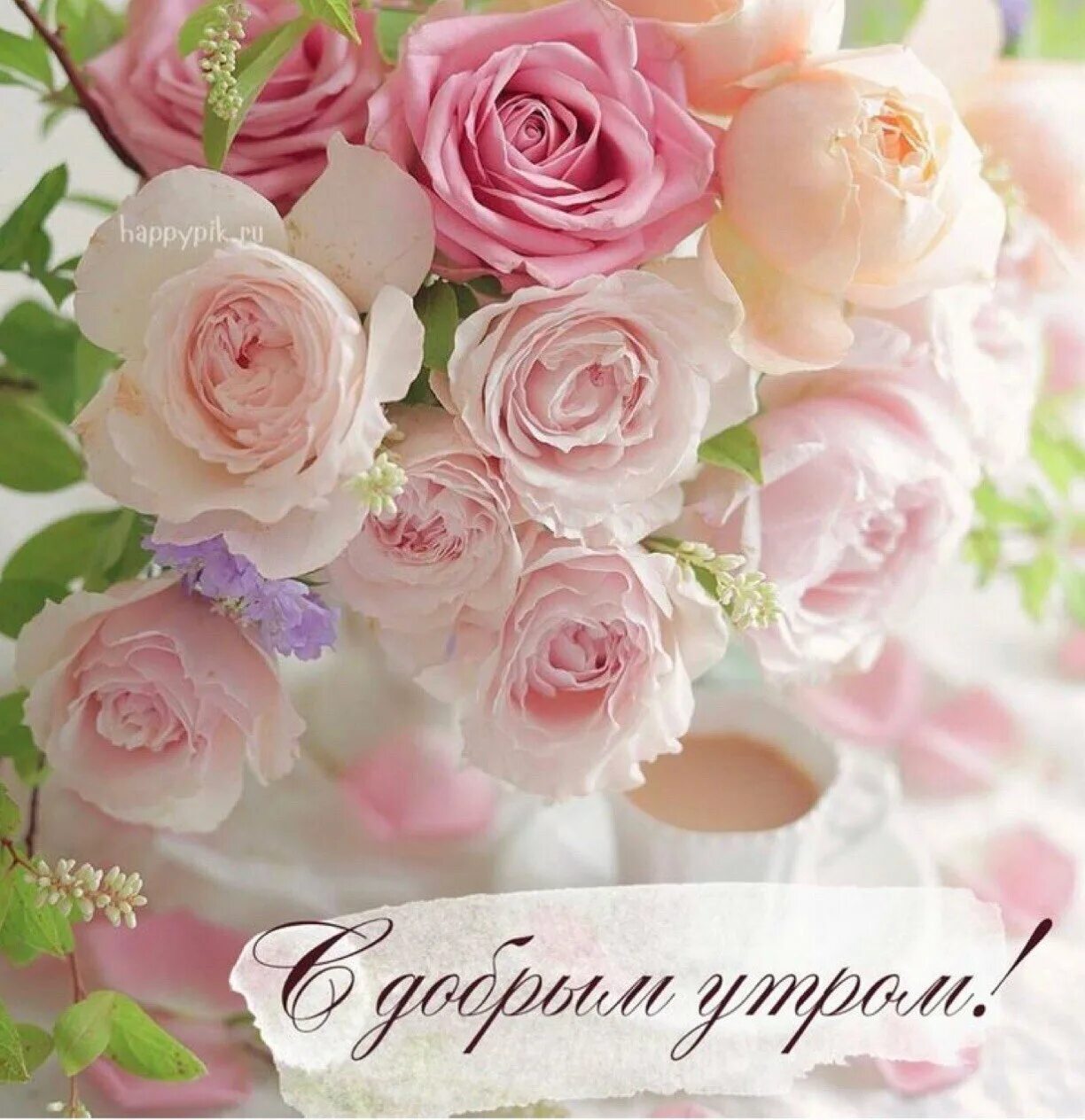 Картинки красивые необычные нежные с пожеланиями День добрый картинки красивые женщине с цветами: найдено 88 изображений