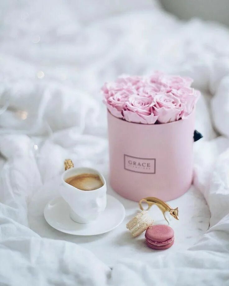 Картинки красивые необычные нежные женщине доброе утро Pin by Márcia Nunes on imagens Best coffee, Best starbucks coffee, Good morning