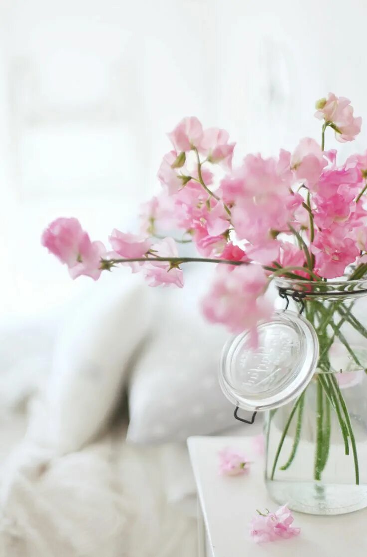 Картинки красивые необычные нежные женщине доброе утро beach cottage decorating for Spring - life by the sea Pink flowers, Beautiful fl