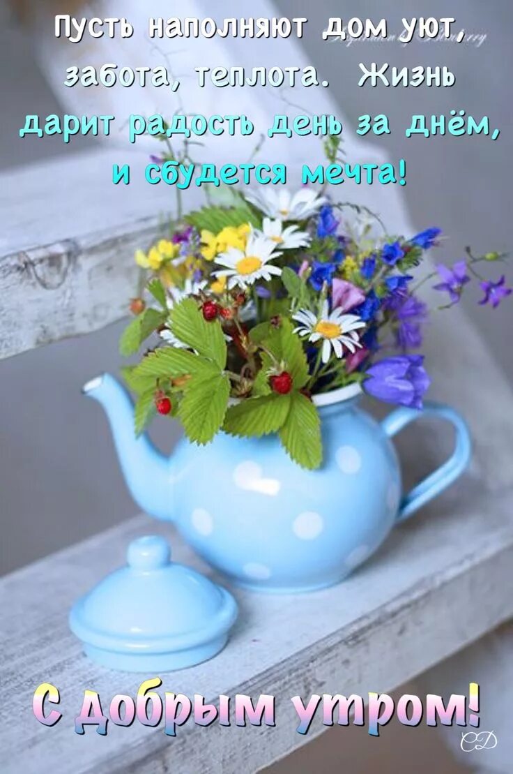 Картинки красивые необычные новые с пожеланиями Pin auf С добрым утром Schöne blumen, Naturfotografie blumen, Blumengestecke