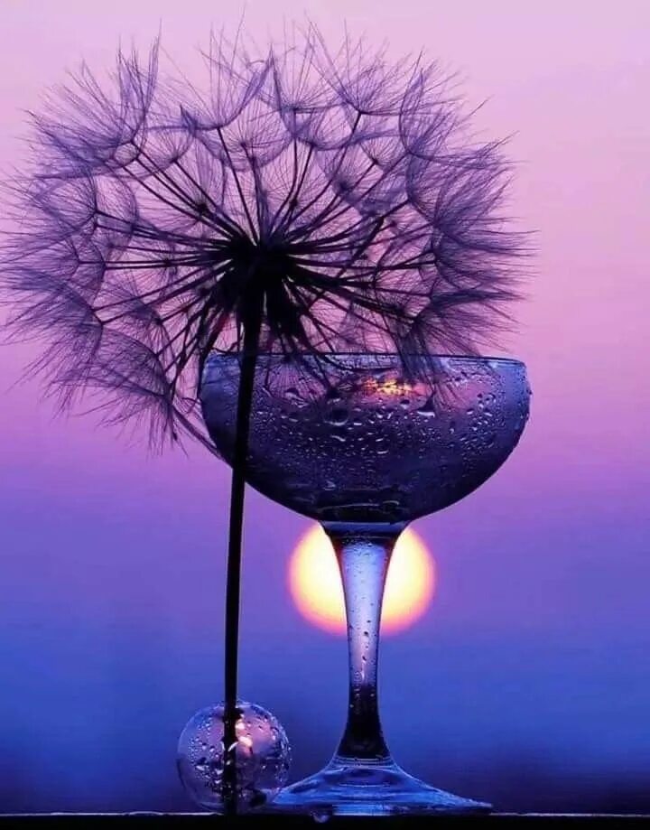 Картинки красивые необычные новые с пожеланиями Pin by Rani on Blue Art photography, Color of life, Wine glass