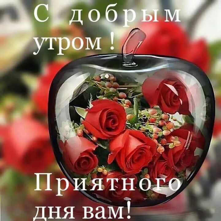 Картинки красивые необычные новые с пожеланиями Pin by Оlga М ❤ on Дни недели и приветствия Decor gifts, Decor, Rose flower wall