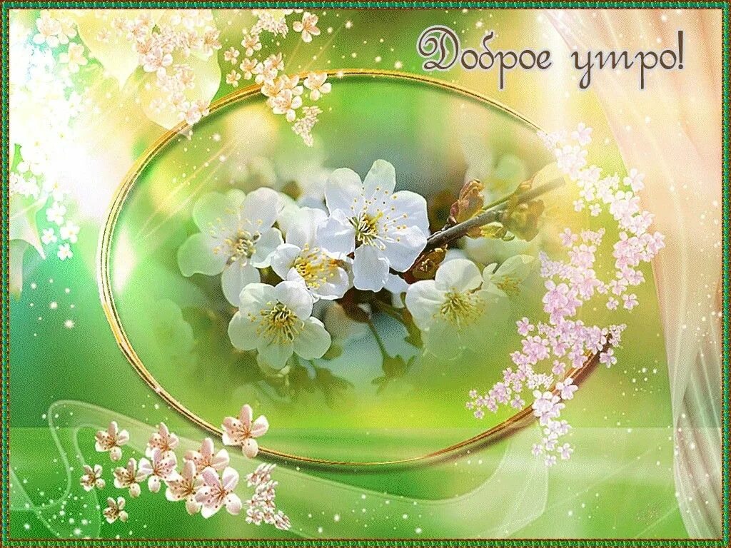 Картинки красивые необычные весенние с пожеланиями Пин на доске Доброе утро