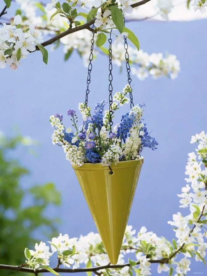 Картинки красивые необычные весенние с пожеланиями for the garden Arranjos de flores, Decoração com flores, Flores