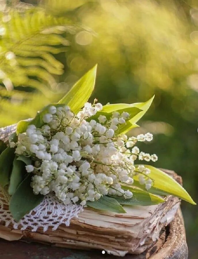 Картинки красивые необычные весенние с пожеланиями Pin by Nouha ChoKoholic on Beautiful pictures Lily of the valley flowers, Pretty