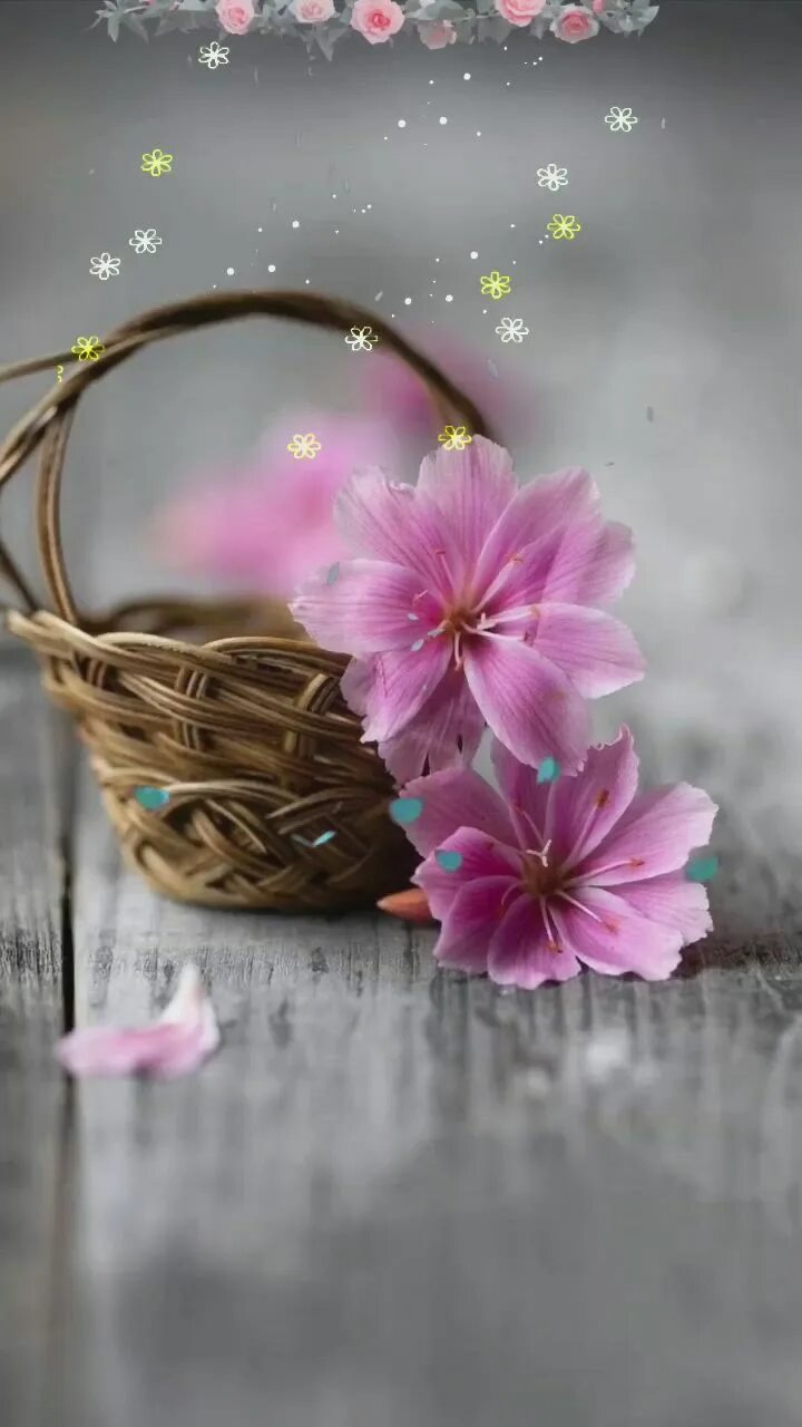 Картинки красивые необычные весенние с пожеланиями 9 Waterfall photography ideas waterfall photography, lovely flowers wallpaper, b