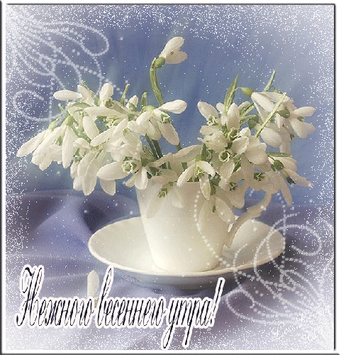 Картинки красивые необычные весенние с пожеланиями Spring Morning!